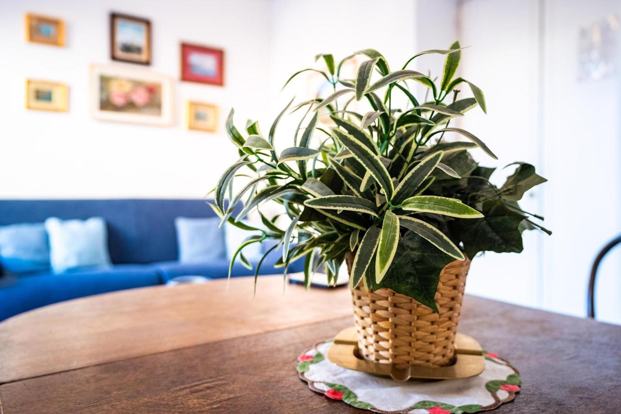 Stefania Flat - Amalfi Center Apartman Kültér fotó